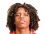 https://img.gerdhu.com/img/football/player/135ad8787fd13961a93e165e79e736ff.png