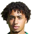 https://img.gerdhu.com/img/football/player/347a6d58ae7ec0425a4d42bc9215c411.png